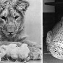 이야기,꽃 이미지