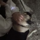 88노래연습장 이미지