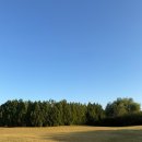 노을공원 | 셀프 웨딩 스냅|셀프 야외 스냅|노을 공원 후기📸