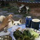 석굴암한옥 이미지