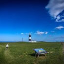 시영목장 이미지