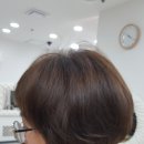 가즈헤어 이미지