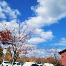 천문대오토캠핑장 이미지