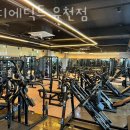 바디에딕트 이미지
