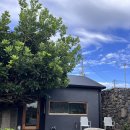 막다른 둥지 이미지