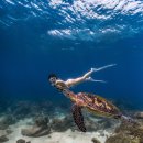 아포 | 필리핀 두마게티 다이빙 포인트 총 정리 아포섬 후기