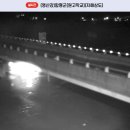 함평군(원고막교) Daum카페
