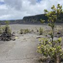 화산공원중앙 이미지