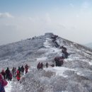 산 이미지