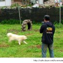 속담농장 이미지