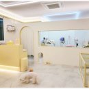 그루댕댕 이미지