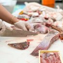 홍어전문점 이미지