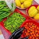 광성농장 이미지