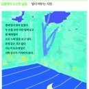 서쪽나무
