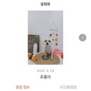 미용하러오개 네이버블로그