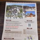 대포서원 | 대구 근교 은행나무 명소, 도동서원 실시간 방문기