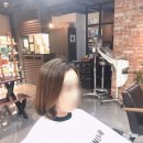 보니헤어 이미지