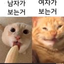 각자의 시선 이미지