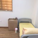 느티나무복지재단 이미지