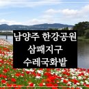 남양주 한강공원 삼패지구 수레국화밭·피크닉·맛집 완벽 가이드 (2025년 최신)