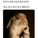 냉면&덮밥도배달돼지
