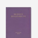 청년정성