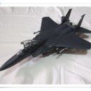 [아카데미] 1/48 F-15E 스트라이크 이글 이미지