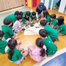 예다솜어린이집 이미지