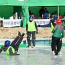 경도인삼