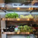안산신길동맛집 자연밥상풍경 밥상퀄 실화야?