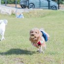 포레스트258/포레스트258펜션 이미지