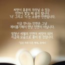 사과향기