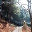 청평휴양림펜션 | 경기도계곡 청평자연휴양림 계곡펜션vs계곡캠핑장 중 어디로?