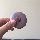 토끼언니케이크 이미지