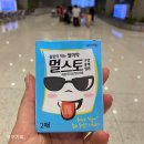 (8월 세부 5박7일 여행) Day1_①오슬롭 고래상어+모알보알 투어(와투어 고북이투어)