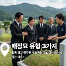 효심장묘 - 금산군 은행나무길 45 | 경기 매장묘, 가격 위치 한번에 비교
