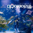 대구비씨 | 대구가볼만한곳 추천 실내 데이트 코스로 좋은 대구아쿠아리움 후기