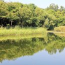 꽃사슴어린이공원 이미지