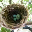 눈빛극장 이미지