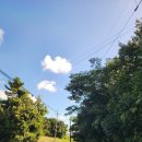 해비치나루 이미지