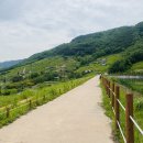 푸르른 농장 이미지