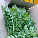 인철농장 이미지