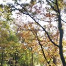 전주이씨 선성군파 명산종중묘역 이미지