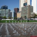 서울시청 이미지