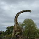 해남공룡박물관 이미지