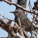 사우스케이프오너스클럽 이미지