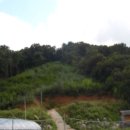 수당리마을회관 이미지