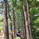 대티골마을 | [여행다움 여행후기③]경상북도 영양군 별빛 투어1박2일_대티골,숲체험, 쌀빵만들기체험