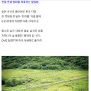 강원 양구 ‘DMZ 펀치볼 둘레길’ 이미지