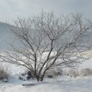 시골풍경 이미지